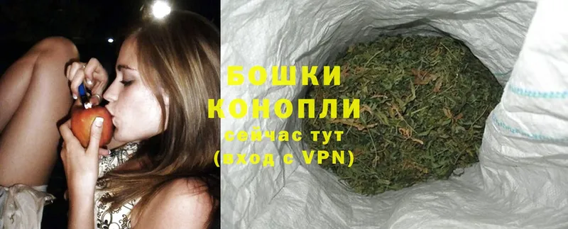 Бошки марихуана White Widow  кракен сайт  Карачев 